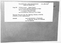 Image Associated With the Occurence